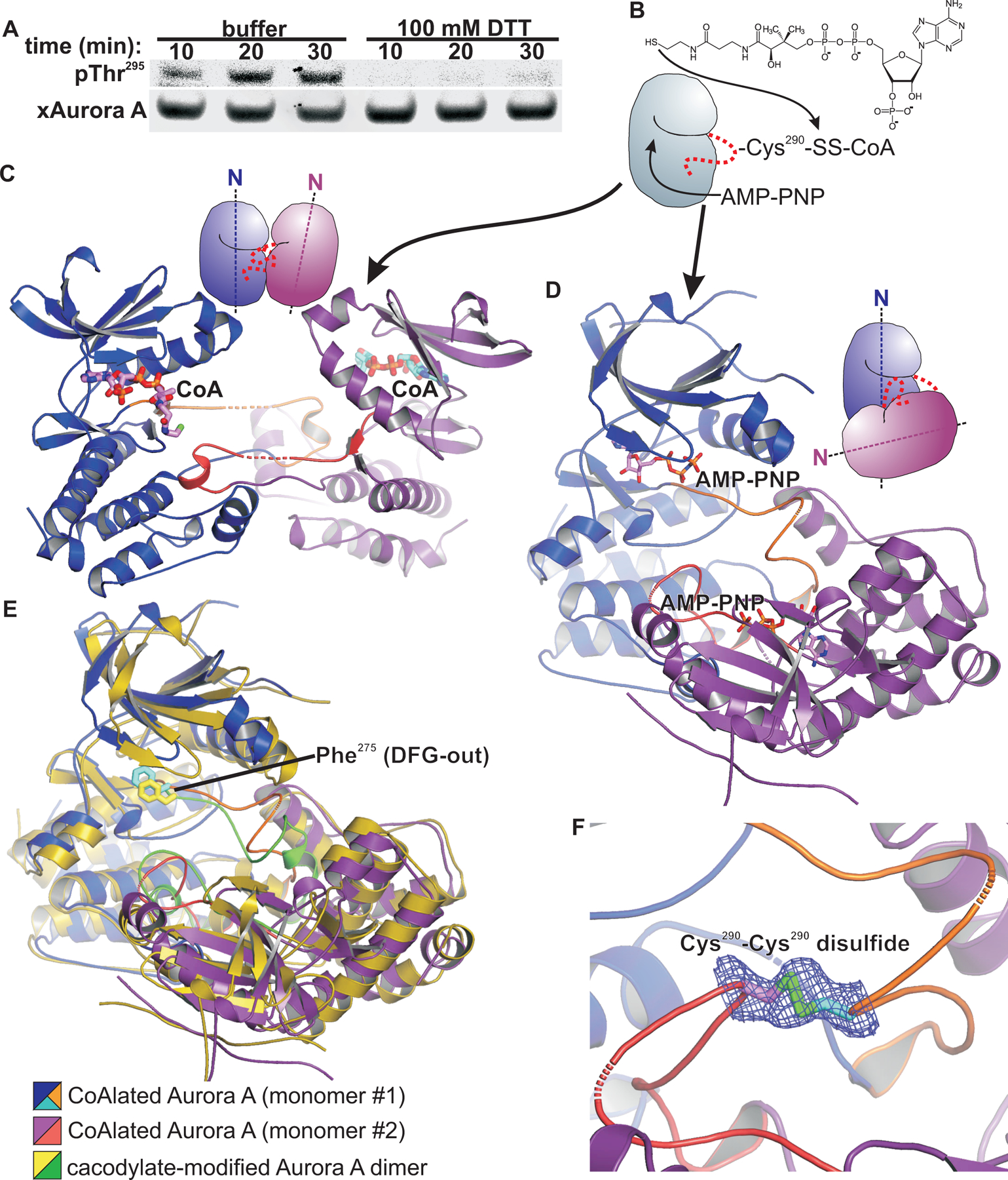 Fig. 6.