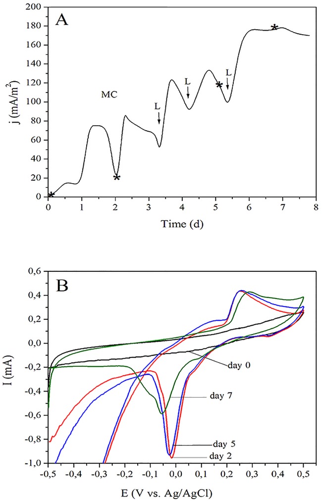 Fig 4