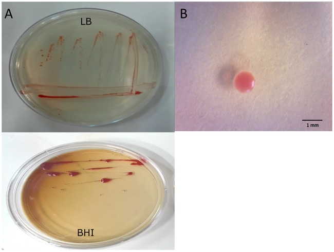 Fig 3