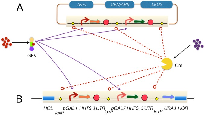 Fig. 1.