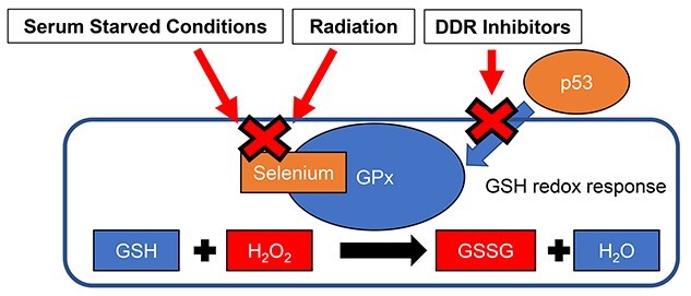 Fig. 7.