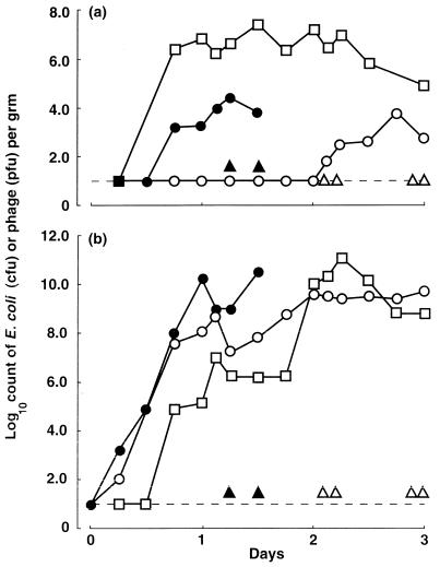 FIG. 1