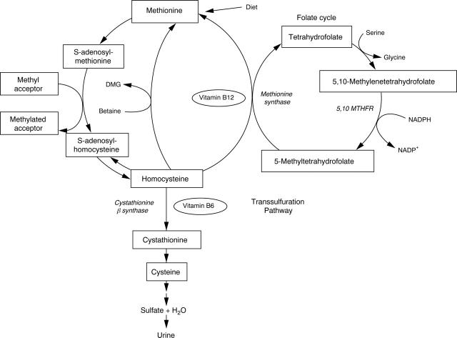 Figure 1  