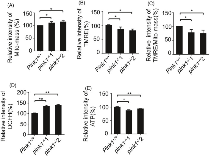 FIGURE 3