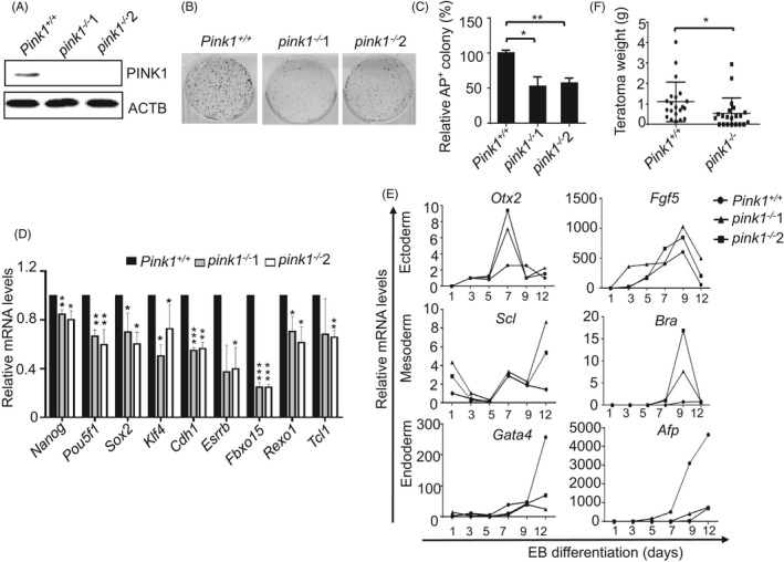 FIGURE 2