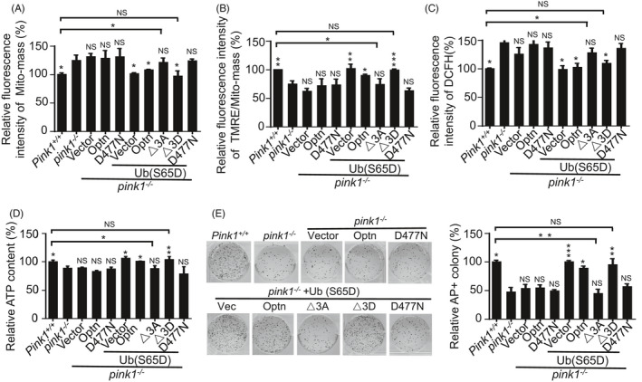 FIGURE 6