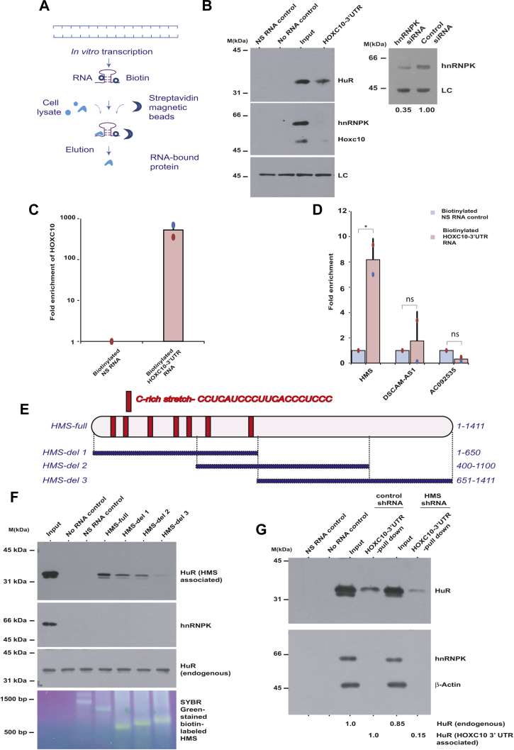 Figure 6