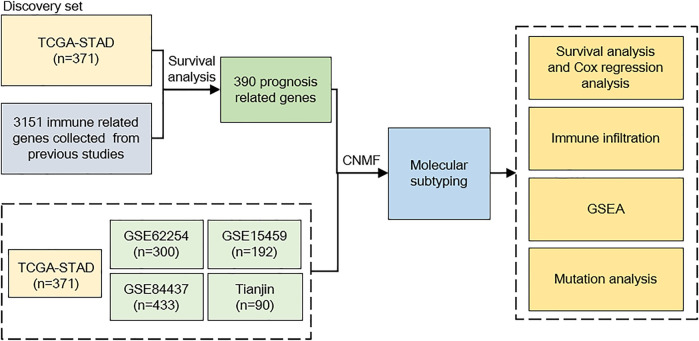 FIGURE 1