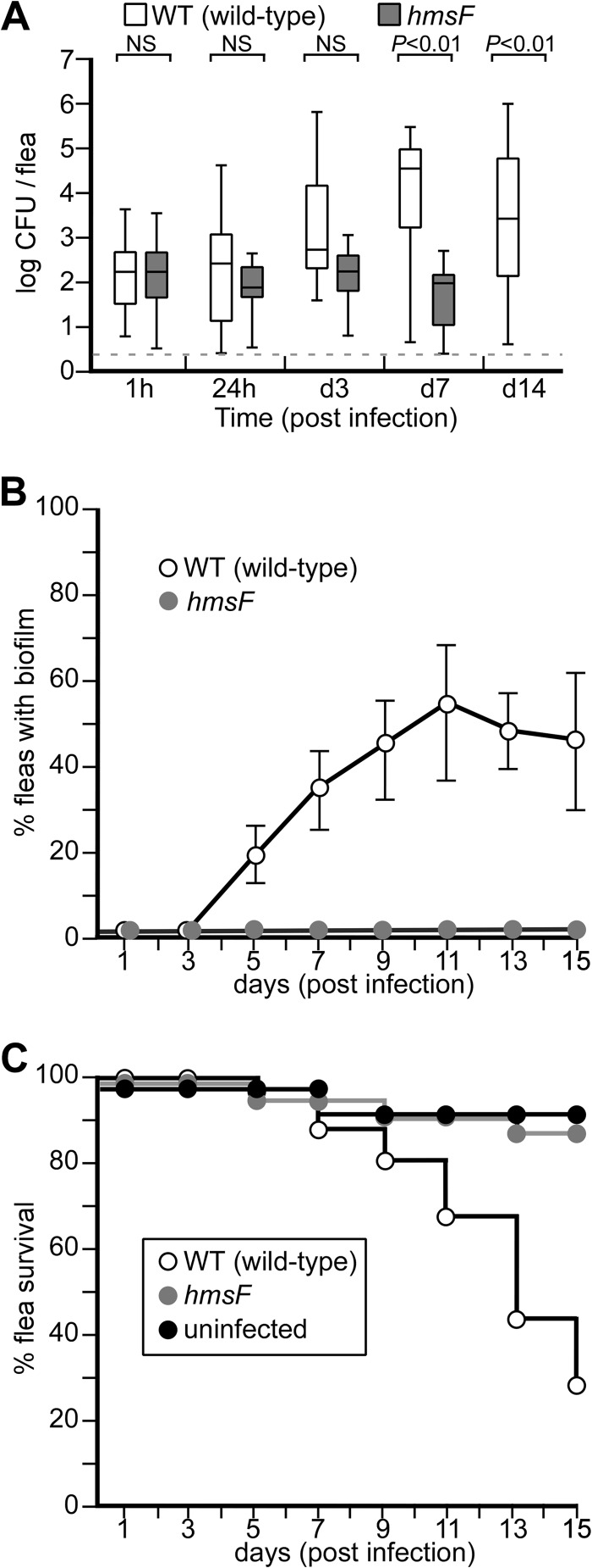 FIG 1