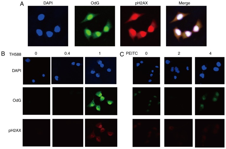 Figure 3.