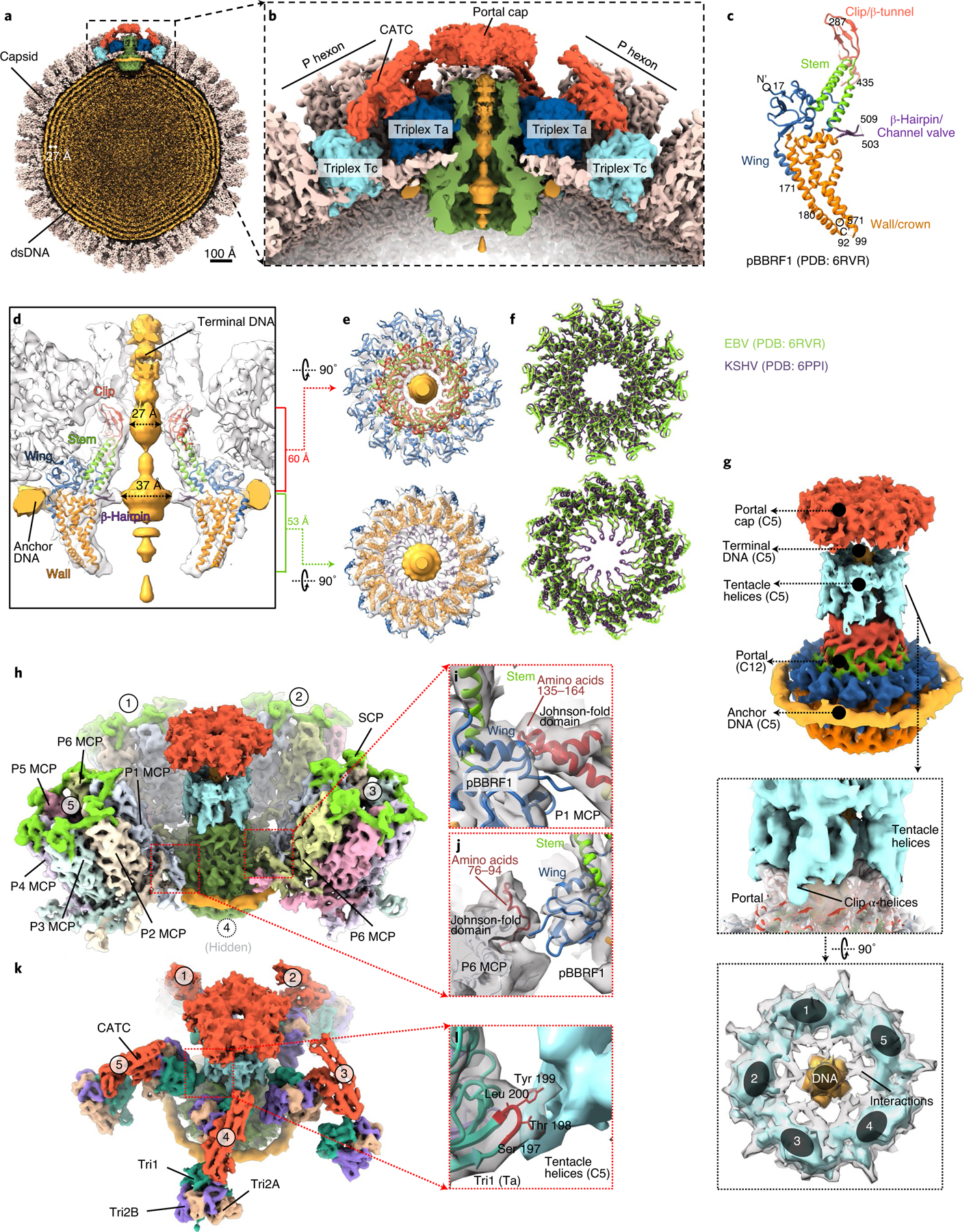 Fig. 4 |