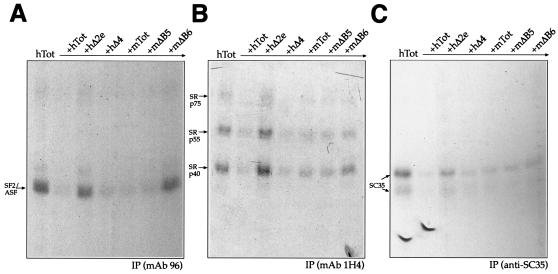 FIG. 8.