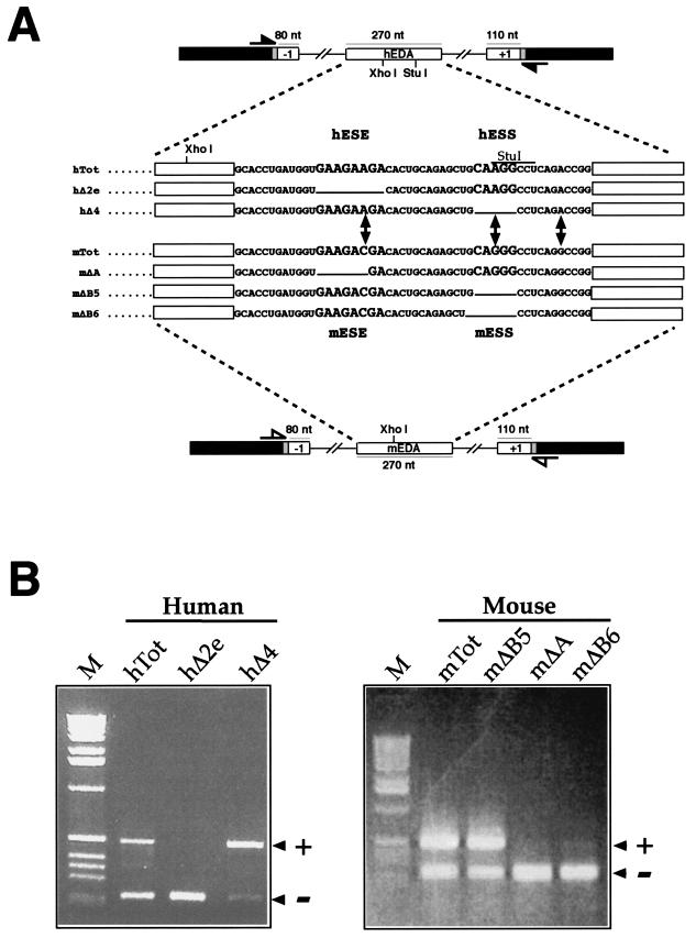 FIG.1.