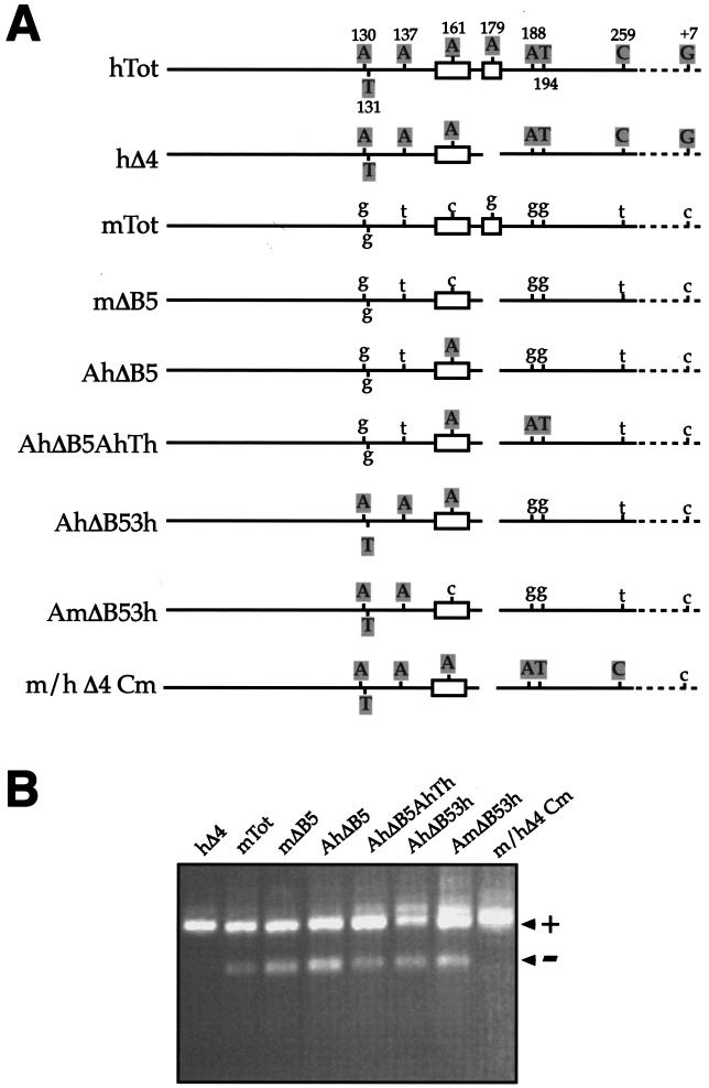 FIG.2.