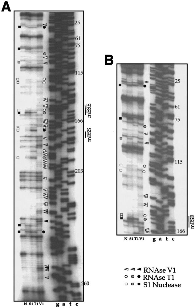 FIG.3.