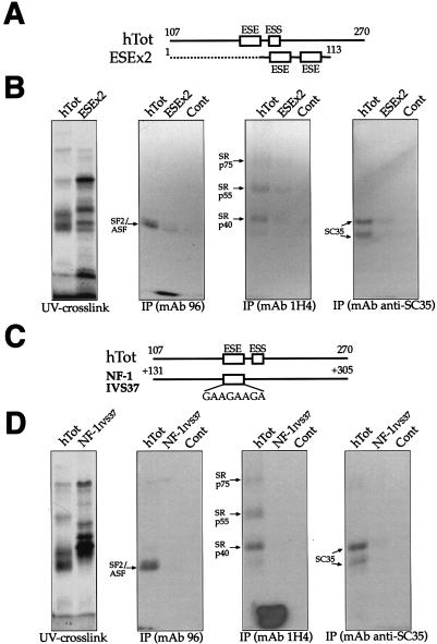 FIG. 9.