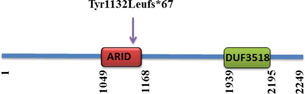 Figure 3.