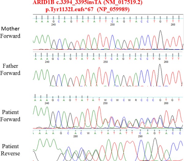 Figure 2.