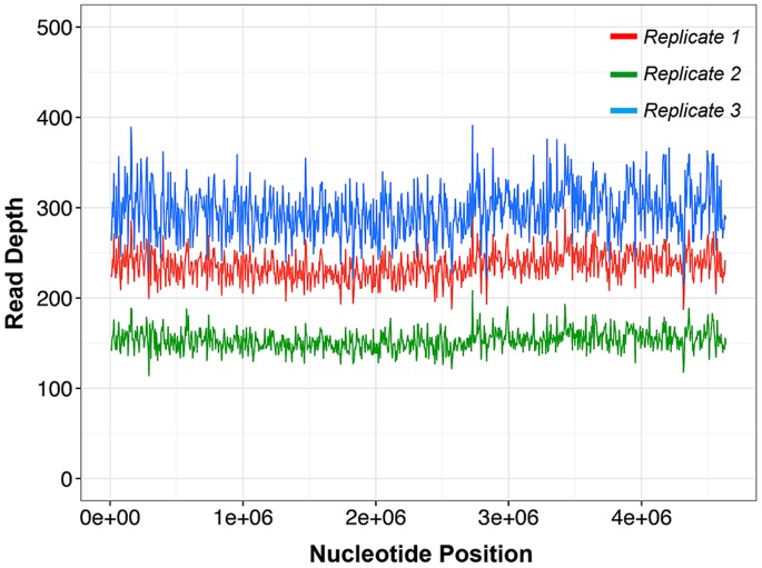 Figure 5