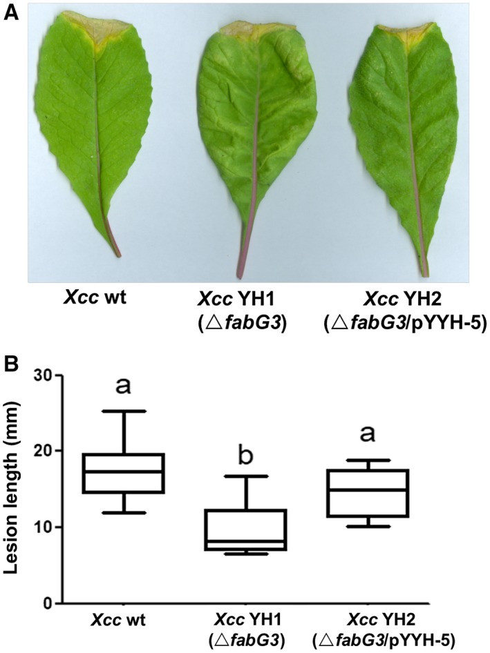 Figure 5