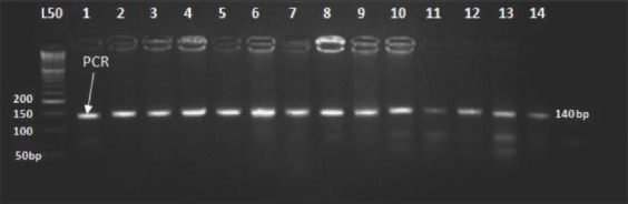Figure-1