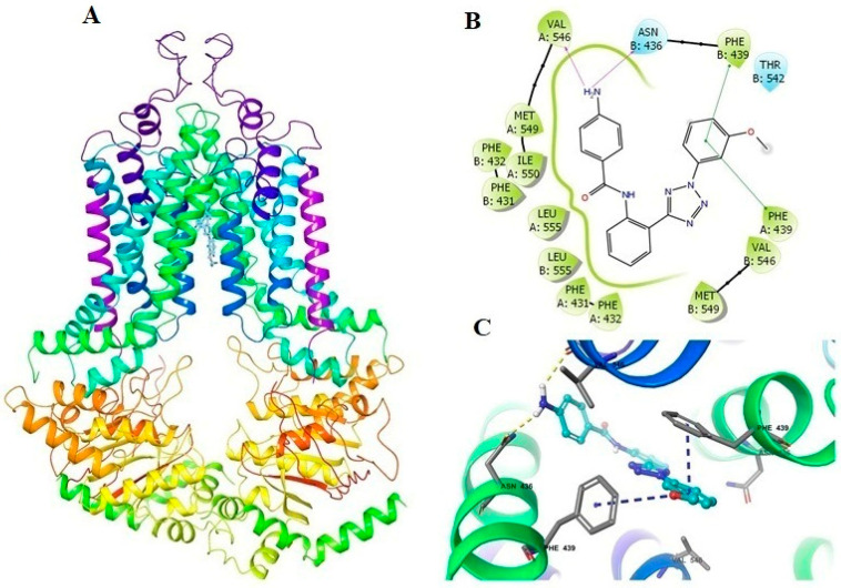 Figure 5