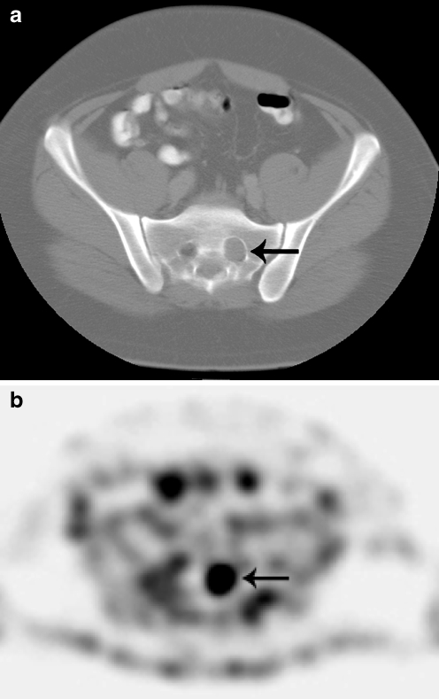 Fig. 6