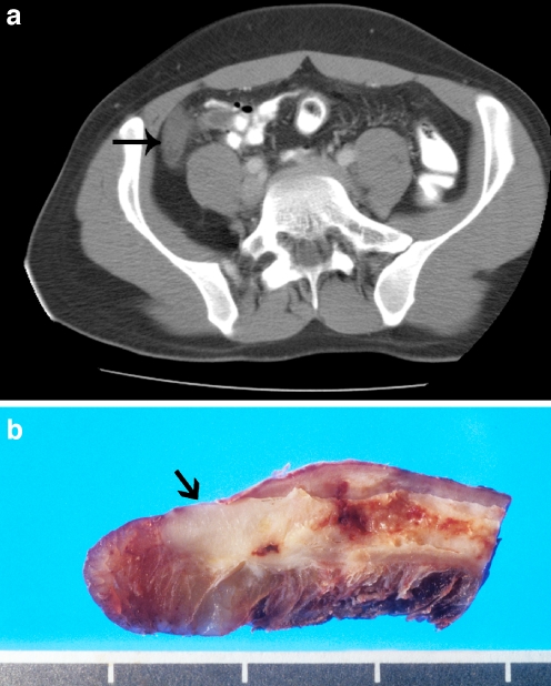 Fig. 8