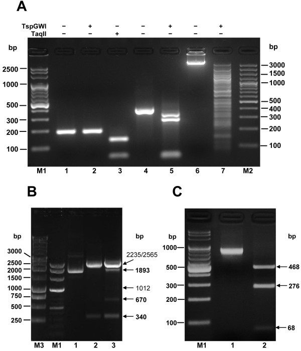 Figure 9