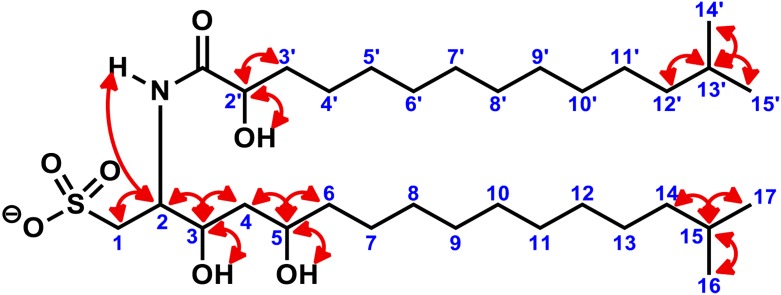 Figure 3—figure supplement 3.