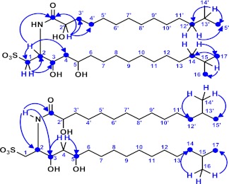 Figure 3—figure supplement 4.