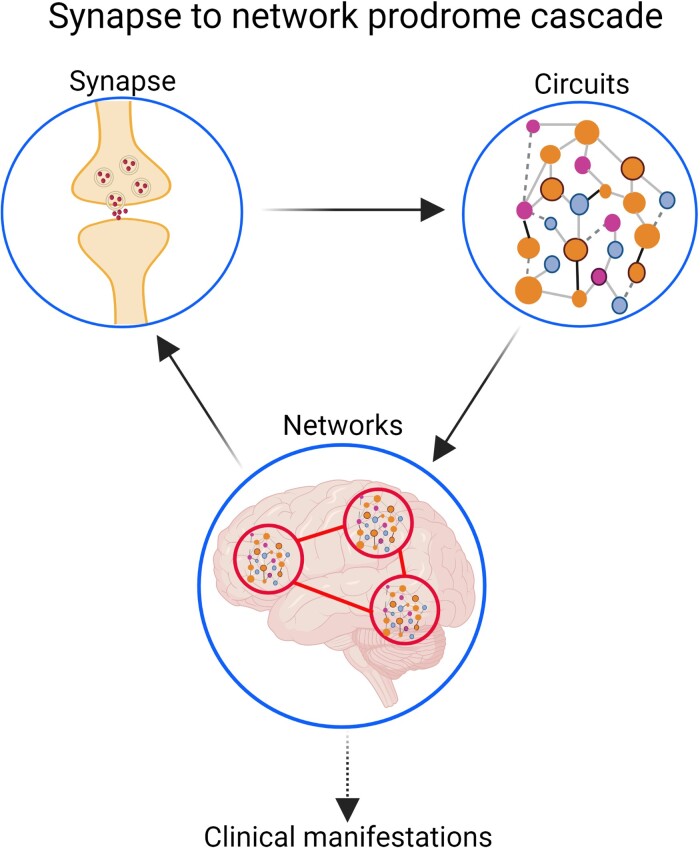 Graphical Abstract