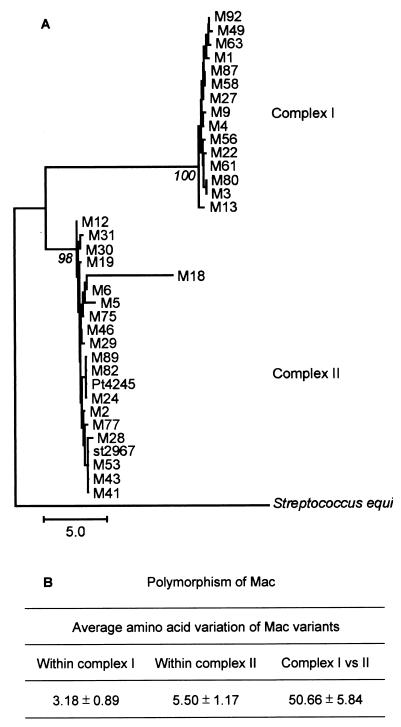 FIG. 1.