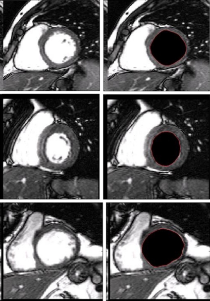 Fig. 7