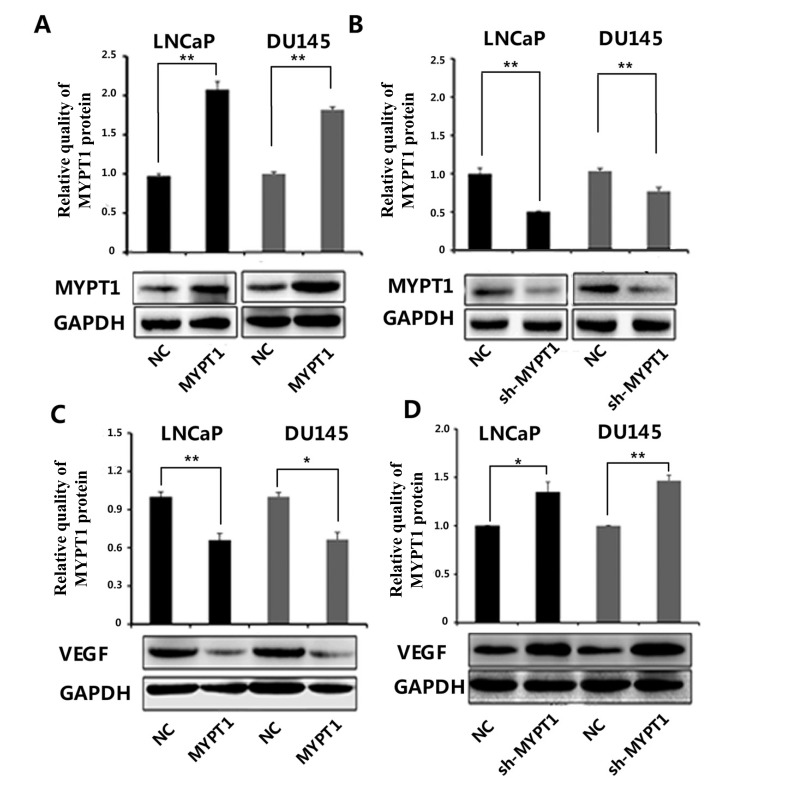 Fig. (1)