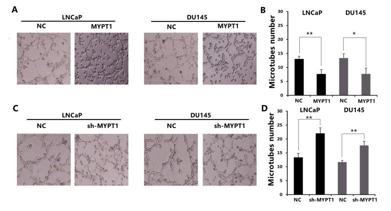 Fig. (2)