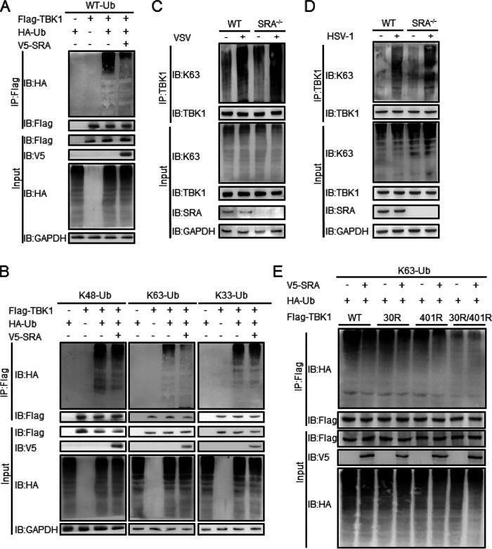 FIG 6