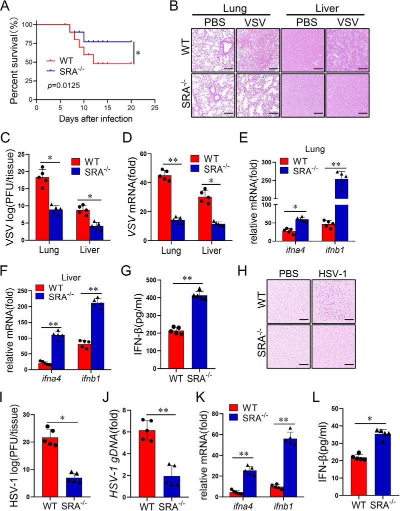 FIG 2