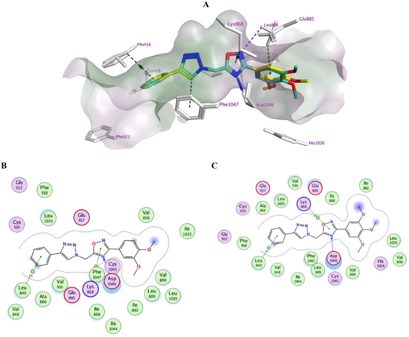 Figure 7.