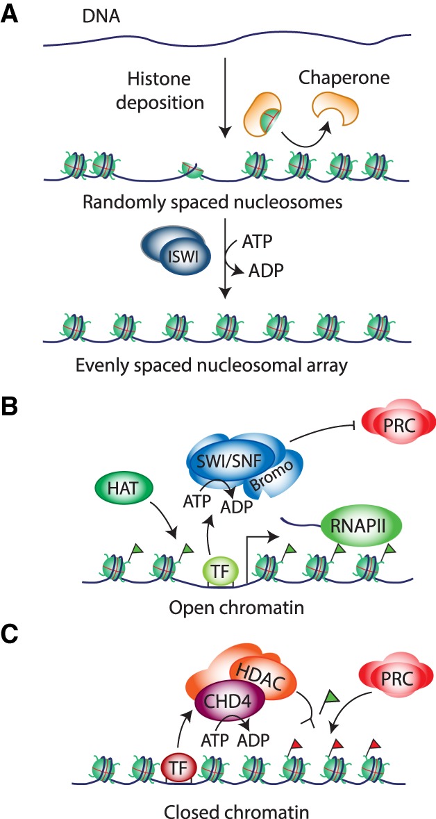 Figure 3.