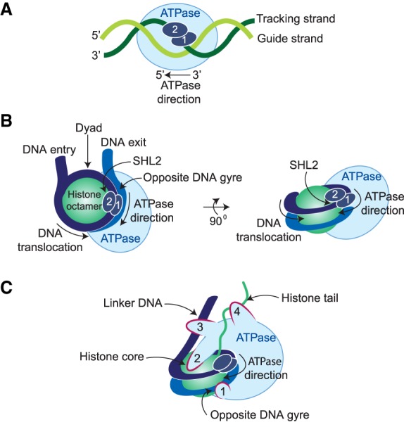 Figure 2.