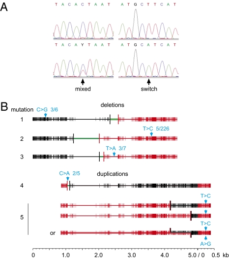 Fig. 4.