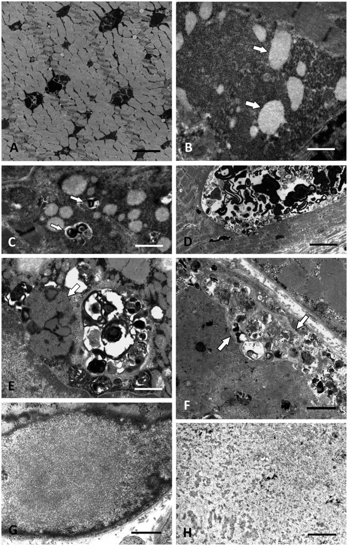 Figure 4 1