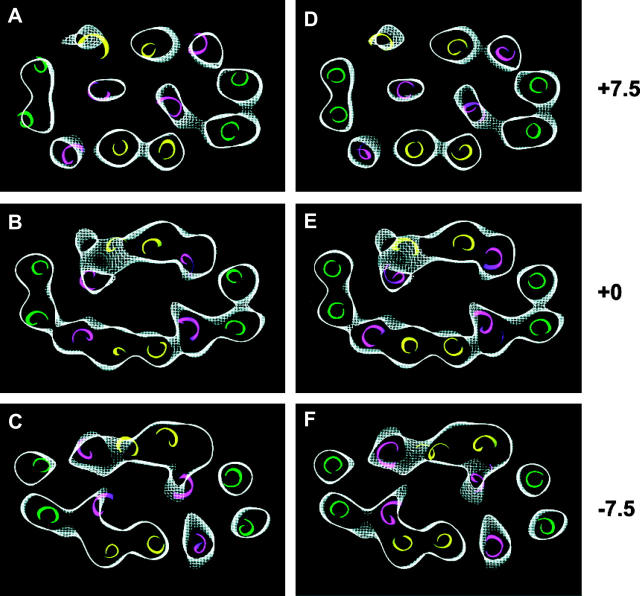 FIGURE 4