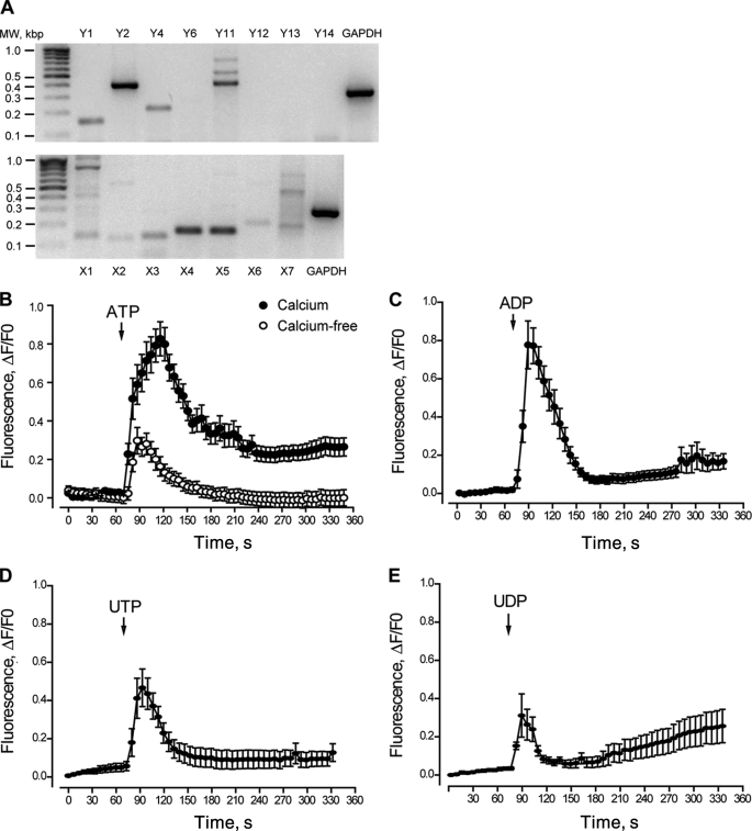 FIGURE 1.