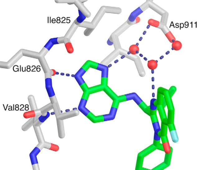 FIGURE 7.