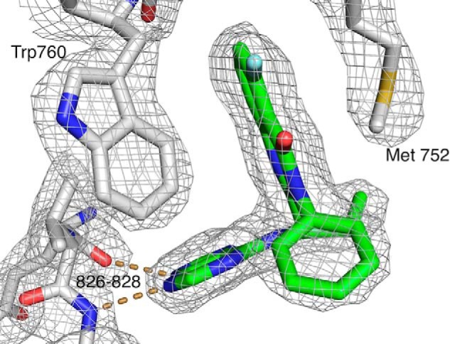 FIGURE 5.