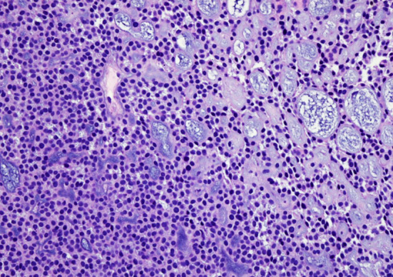 Fig. 7