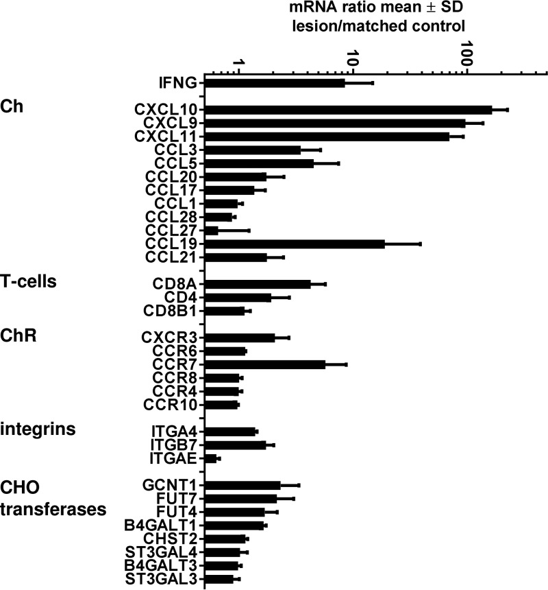 FIG 6