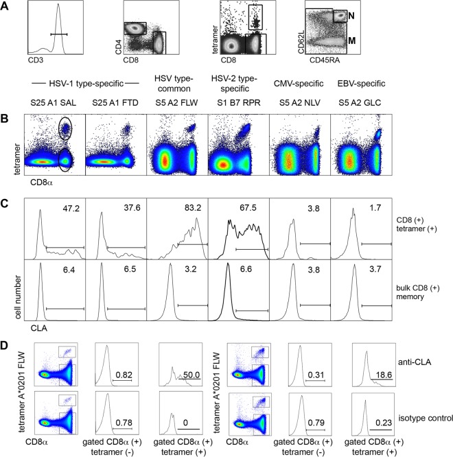 FIG 1